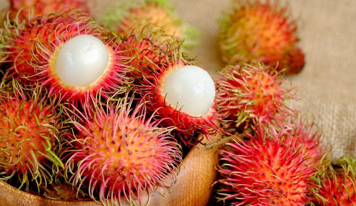 Ceylon Rambutan